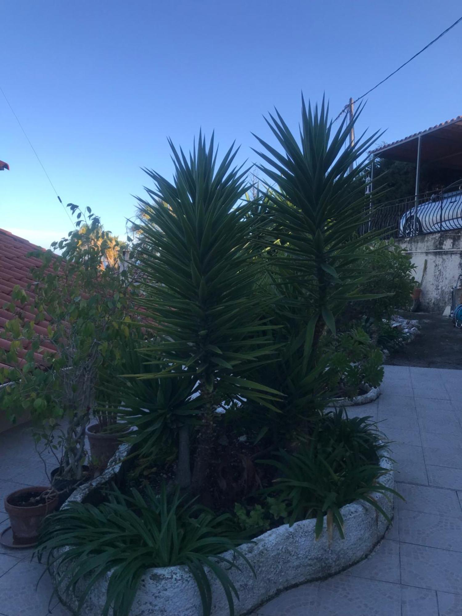 Toit Terrasse